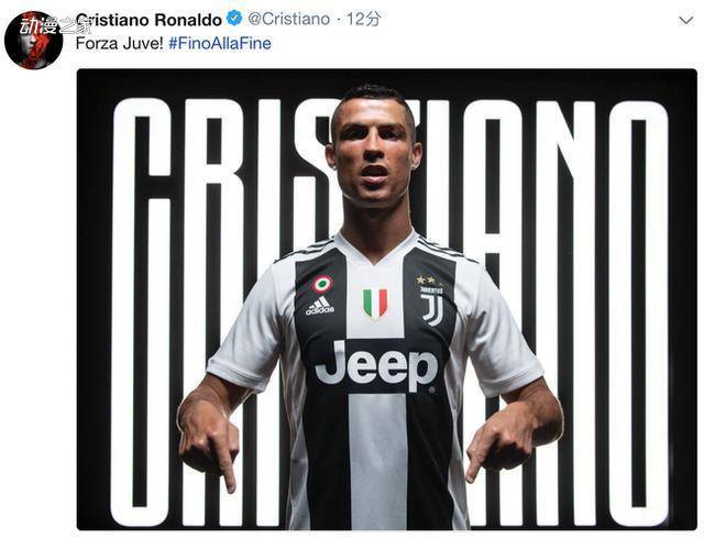 案例分析 案例分析